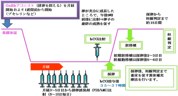 採卵後 生理 いつ来る