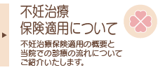 不妊治療保険適用の概要と当院での診療の流れについてご紹介いたします。